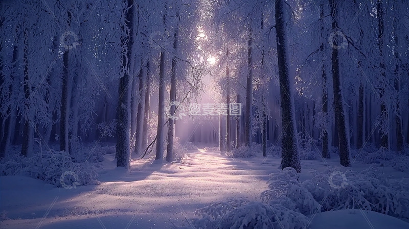 高清大图下载【趣麦麦图】冬日雪景森林小路