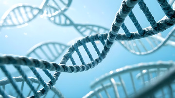 DNA，分子，医疗科技