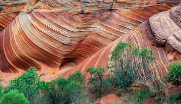 红砂岩褶曲与翠绿植被相映之景