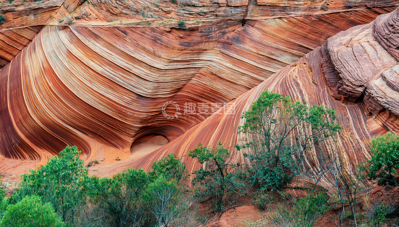 高清大图下载【趣麦麦图】红砂岩褶曲与翠绿植被相映之景