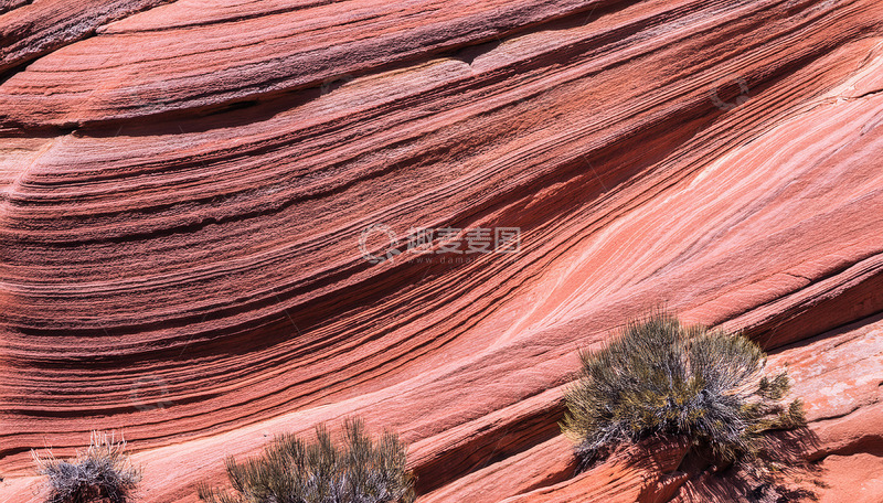高清大图下载【趣麦麦图】红岩波纹间点缀的稀疏绿植