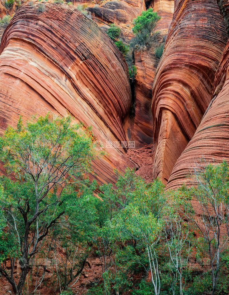 高清大图下载【趣麦麦图】红砂岩层与蓬勃绿植的奇妙组合