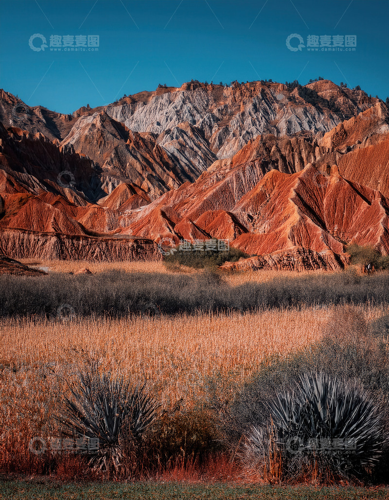 高清大图下载【趣麦麦图】蓝天下红岩与荒草交织的景致