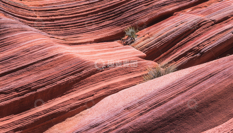 高清大图下载【趣麦麦图】红砂岩波浪间的零星绿色植被