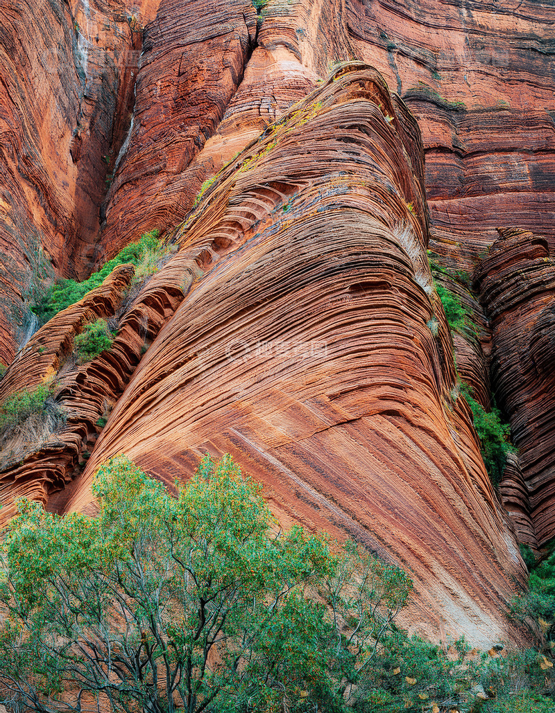 高清大图下载【趣麦麦图】红岩纹理与绿植交织的独特景观