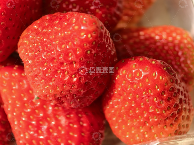 高清大图下载【趣麦麦图】邂逅新鲜草莓