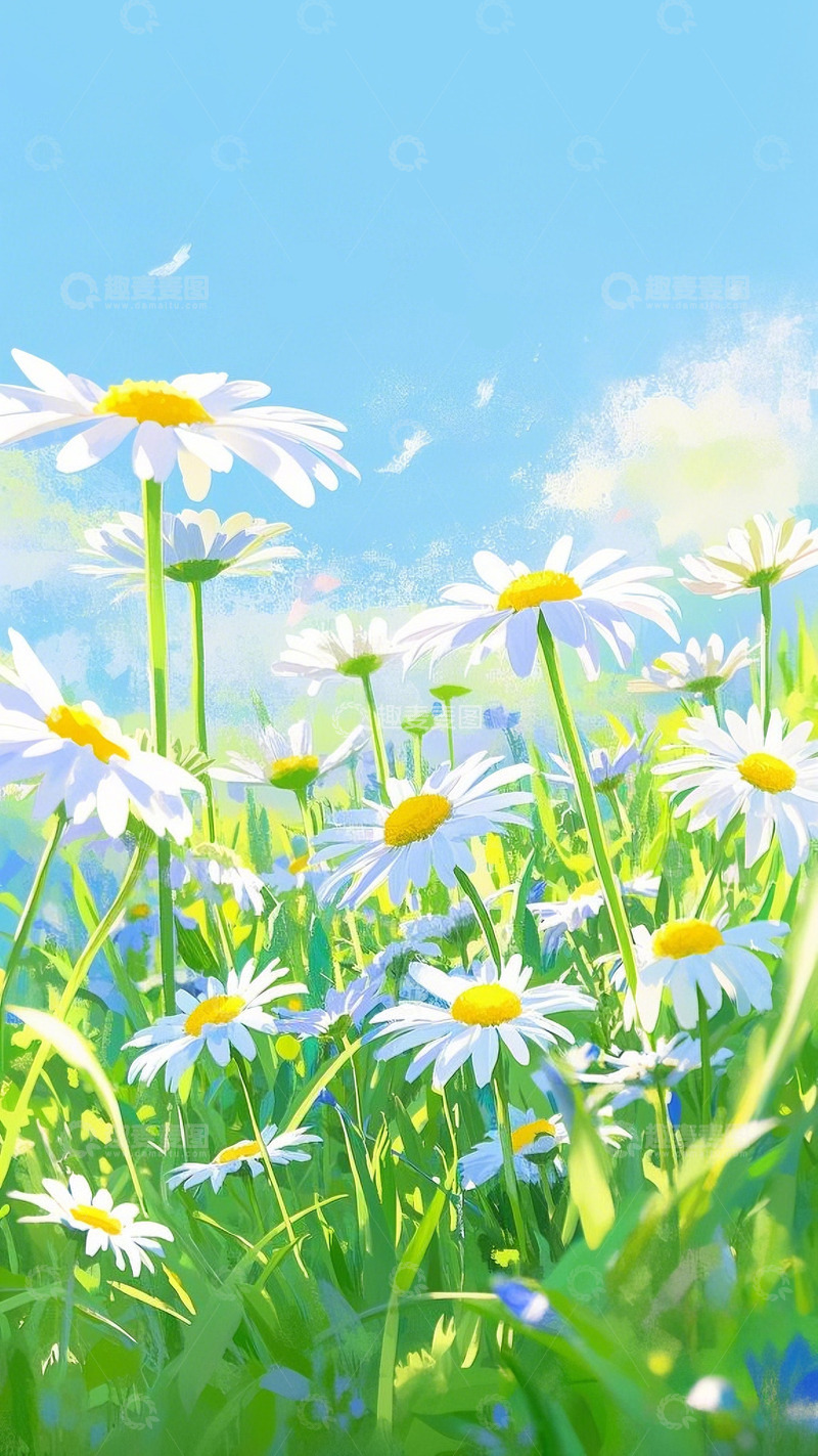 高清大图下载【趣麦麦图】油画水彩春日小雏菊插画1
