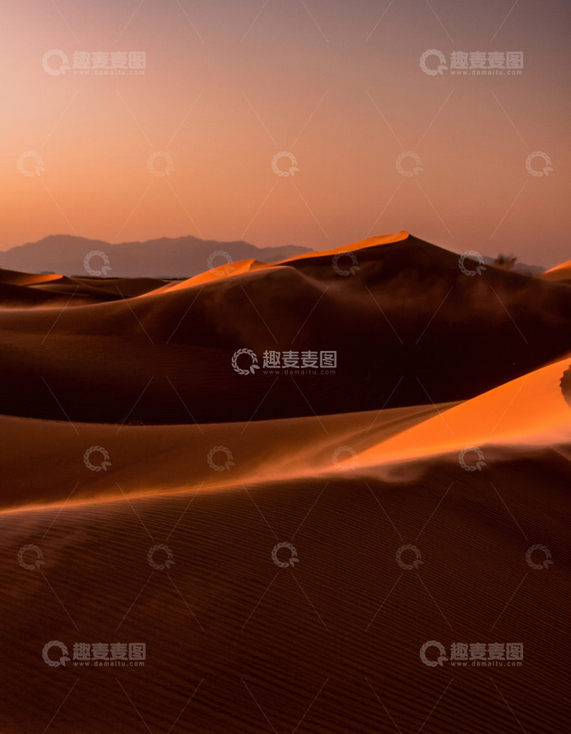 高清大图下载【趣麦麦图】夕阳下闪耀的连绵金色沙丘