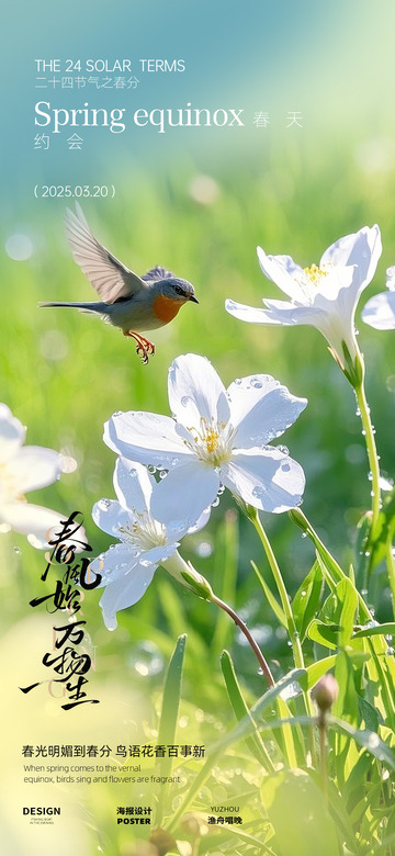 春分海报设计3