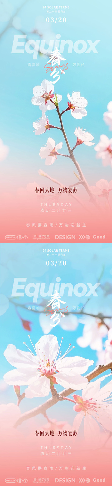 春分节气海报设计2