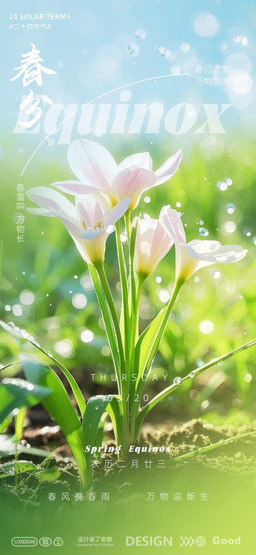 春分节气海报设计1