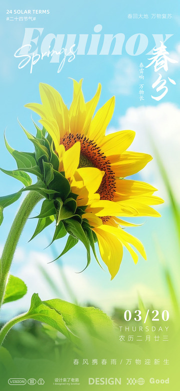 春分节气海报设计