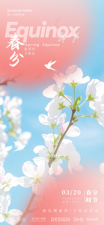 春分节气海报设计3