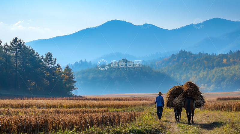 高清大图下载【趣麦麦图】山峦田野马匹