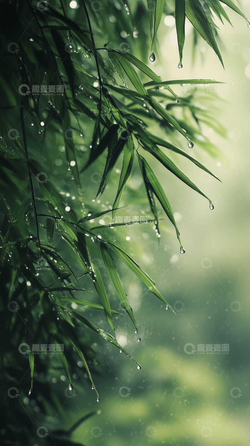 高清大图下载【趣麦麦图】灵动雨中竹林