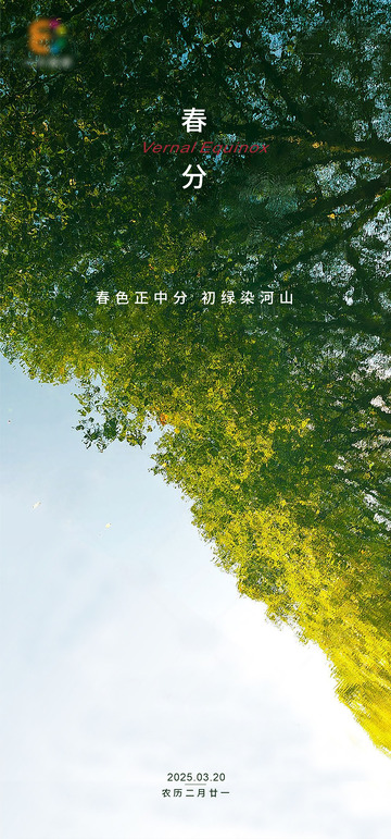 春分节日简约海报