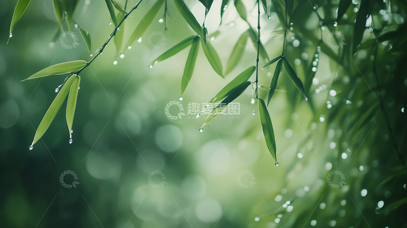 高清大图下载【趣麦麦图】清明时节雨中竹林