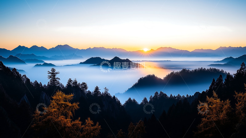 高清大图下载【趣麦麦图】森林树木云雾日出