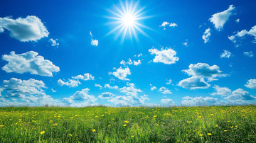 草原自然景观平原植被