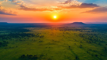 平原草原植被自然景观