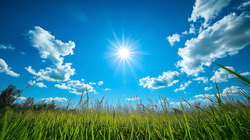 自然景观植被草原平原