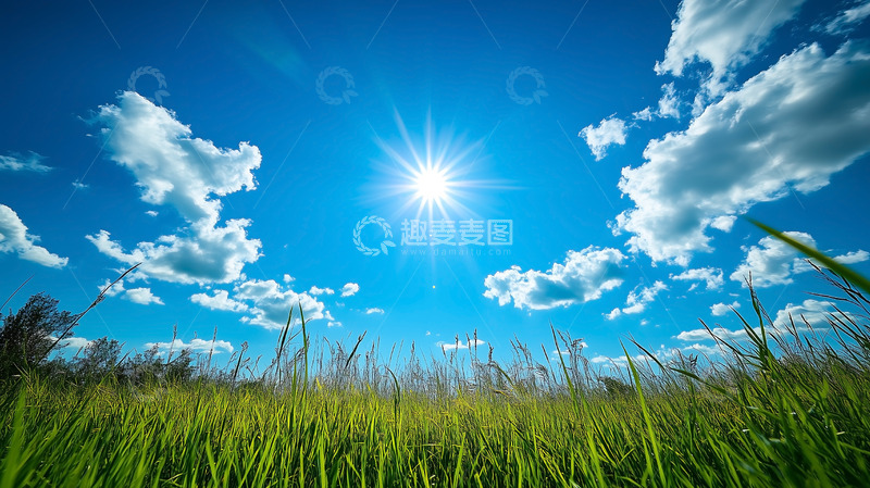 高清大图下载【趣麦麦图】自然景观植被草原平原