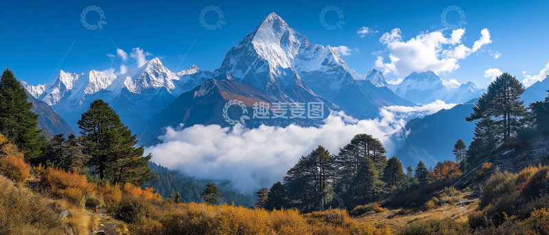 高清大图下载【趣麦麦图】森林自然景观云雾山峦