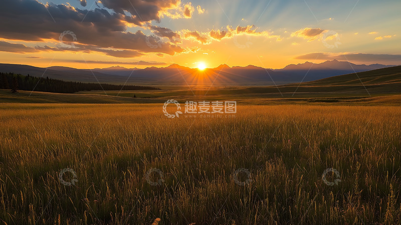 高清大图下载【趣麦麦图】平原自然景观植被草原