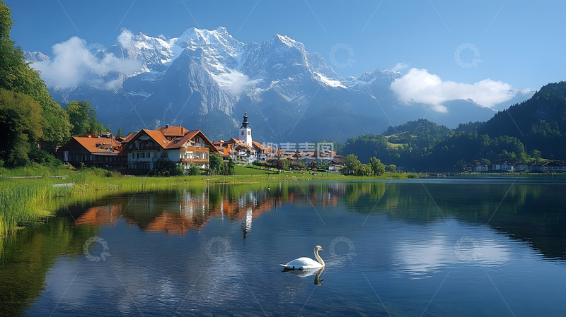 高清大图下载【趣麦麦图】湖面上的白天鹅