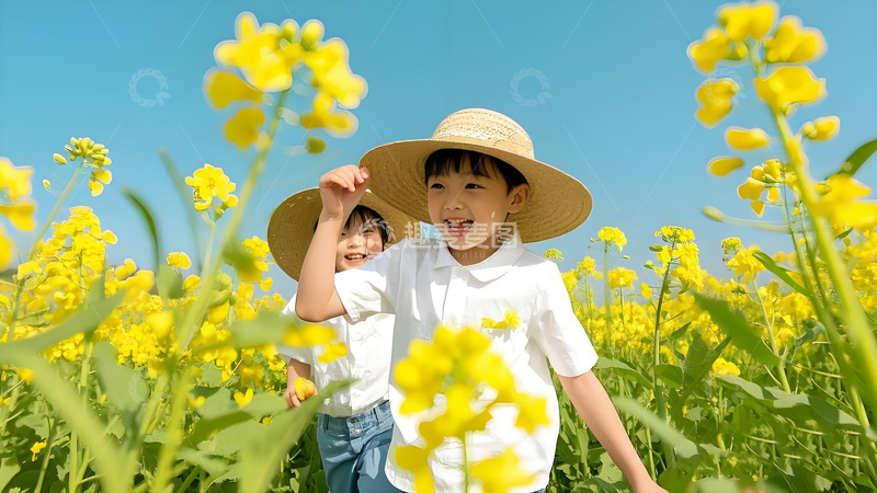 高清大图下载【趣麦麦图】花田中的孩童欢乐瞬间