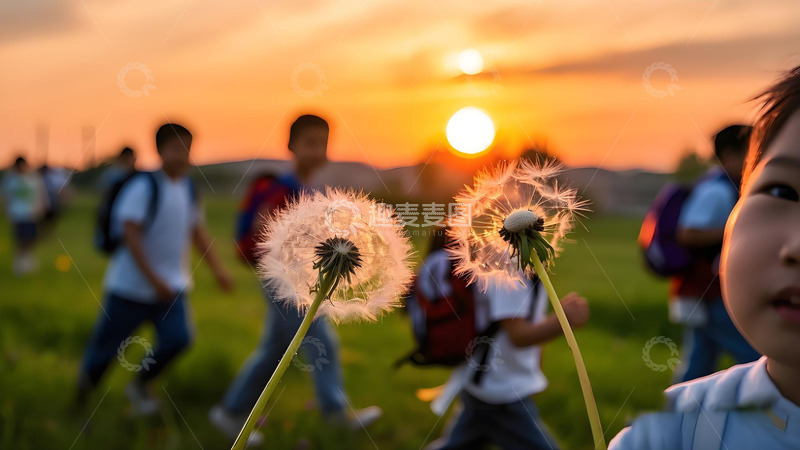 高清大图下载【趣麦麦图】夕阳下人群与蒲公英画面