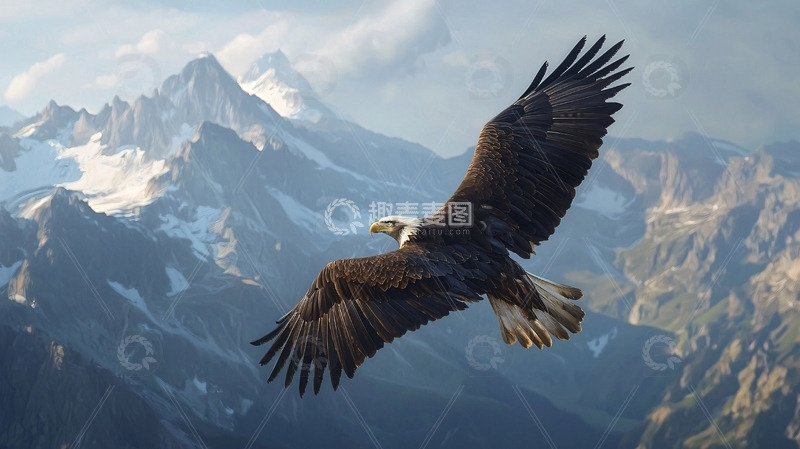 高清大图下载【趣麦麦图】雄鹰展翅飞越雪山