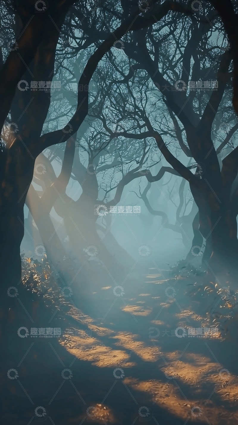 高清大图下载【趣麦麦图】雾气森林小路