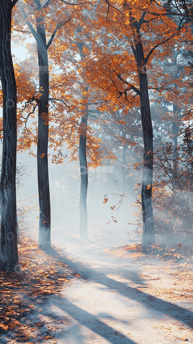 高清大图下载【趣麦麦图】秋日森林小路