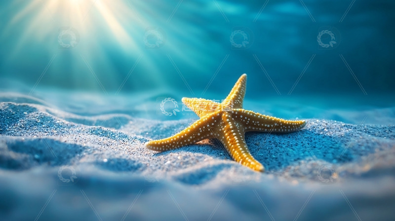 高清大图下载【趣麦麦图】阳光下的沙滩海星