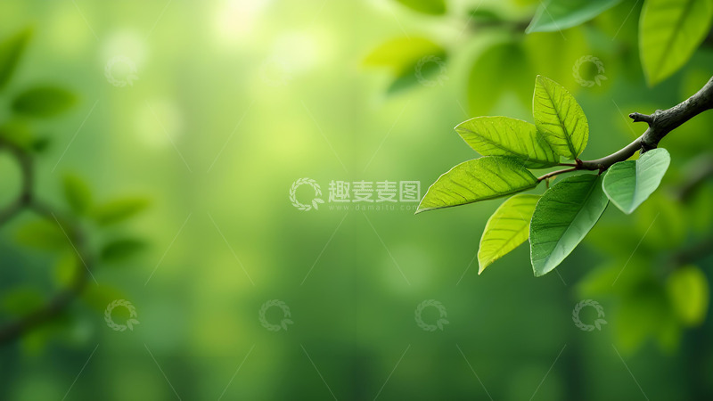 高清大图下载【趣麦麦图】春天希望一抹绿意