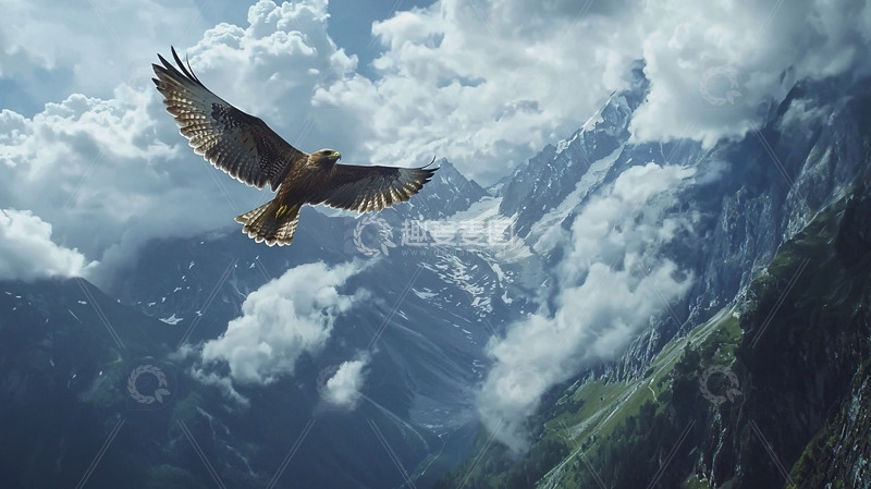 高清大图下载【趣麦麦图】雄鹰展翅高飞