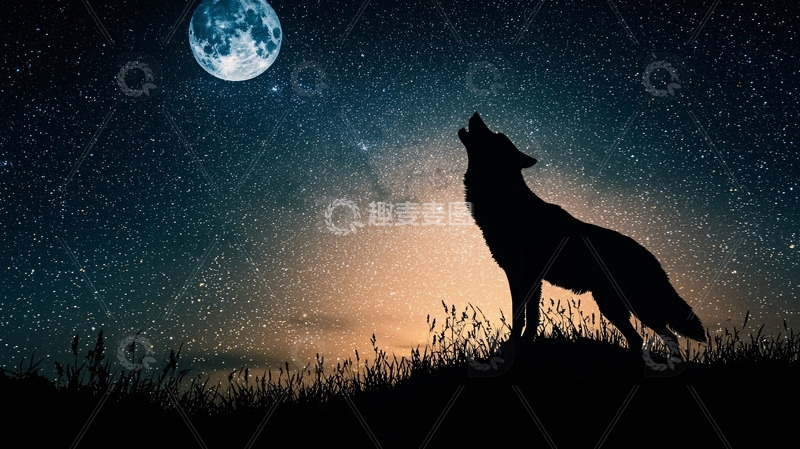 高清大图下载【趣麦麦图】月光下狼的剪影