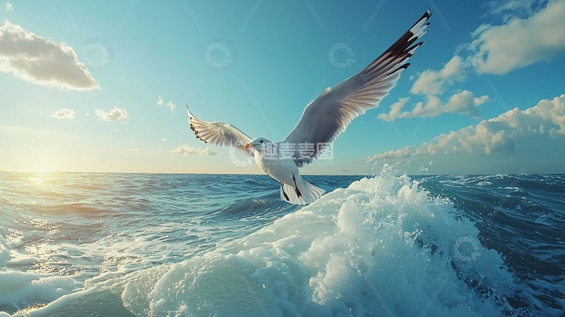 高清大图下载【趣麦麦图】海鸥飞翔大海波浪