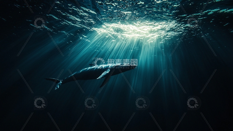 高清大图下载【趣麦麦图】深海鲸鱼光线