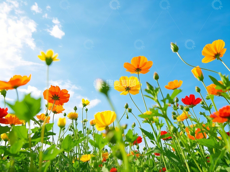 高清大图下载【趣麦麦图】春日花园阳光明媚 