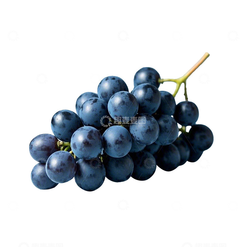 水果葡萄免扣素材