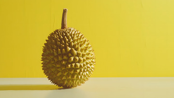 水果之王榴莲图片