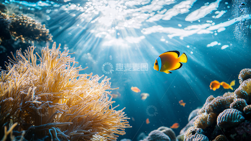 高清大图下载【趣麦麦图】阳光透过海水照射珊瑚礁