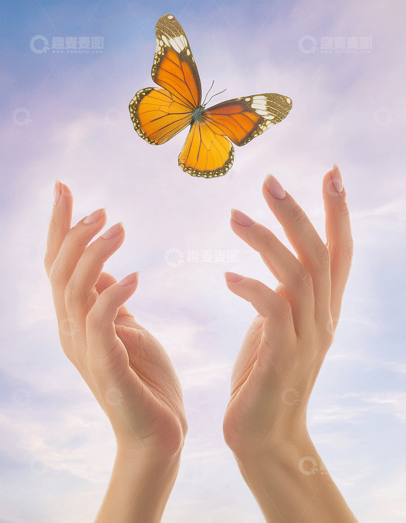 高清大图下载【趣麦麦图】橙白蝴蝶于掌心前飞舞