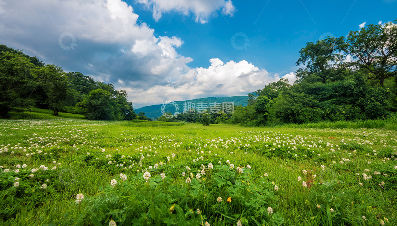 高清大图下载【趣麦麦图】繁花点缀的山谷草地风光