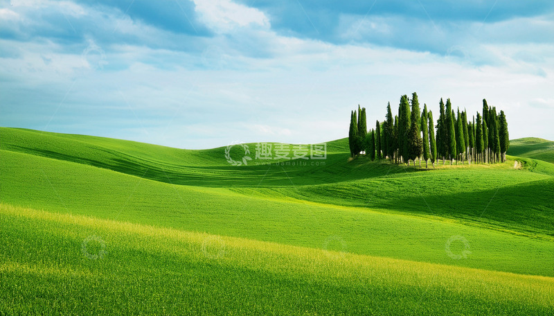 高清大图下载【趣麦麦图】起伏绿地上的葱郁树群