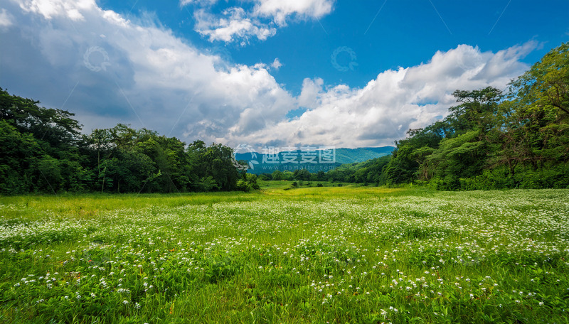 高清大图下载【趣麦麦图】青山繁花间的开阔绿草地