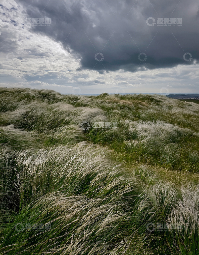 高清大图下载【趣麦麦图】乌云下翻涌的草之波浪