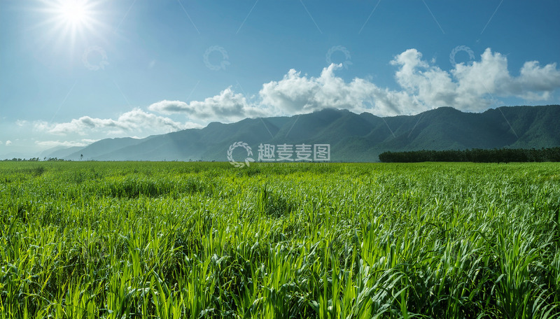 高清大图下载【趣麦麦图】阳光照耀下的绿野青山
